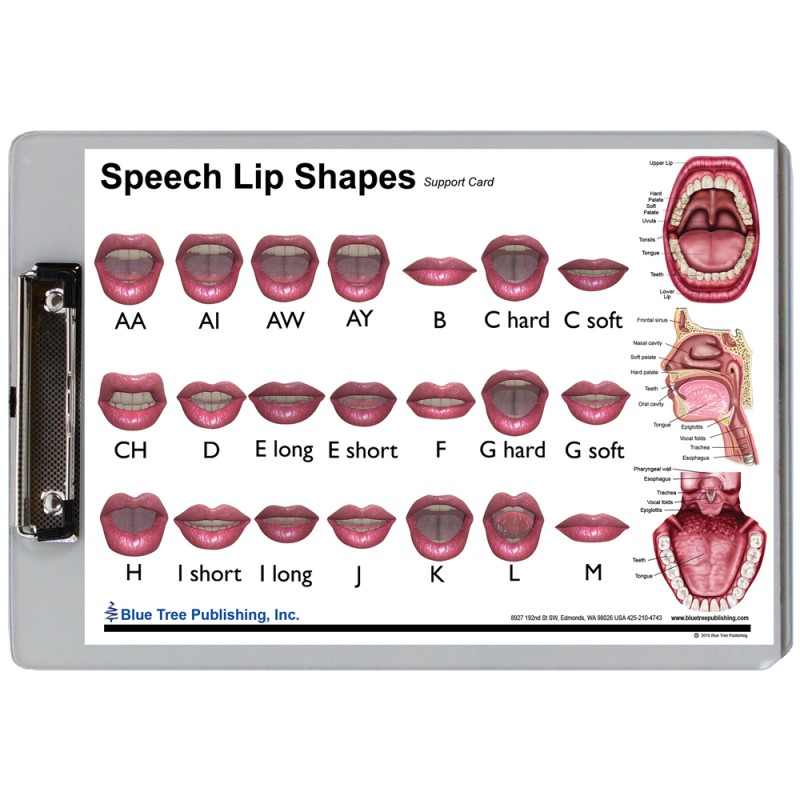 Speech Lip Shapes Dry Erase Clipboard font