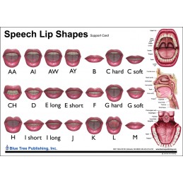 Speech Lip Shapes Anatomical Chart
