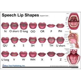 Speech Lip Shapes Anatomical Chart back