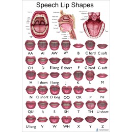 Speech Shapes Large Poster