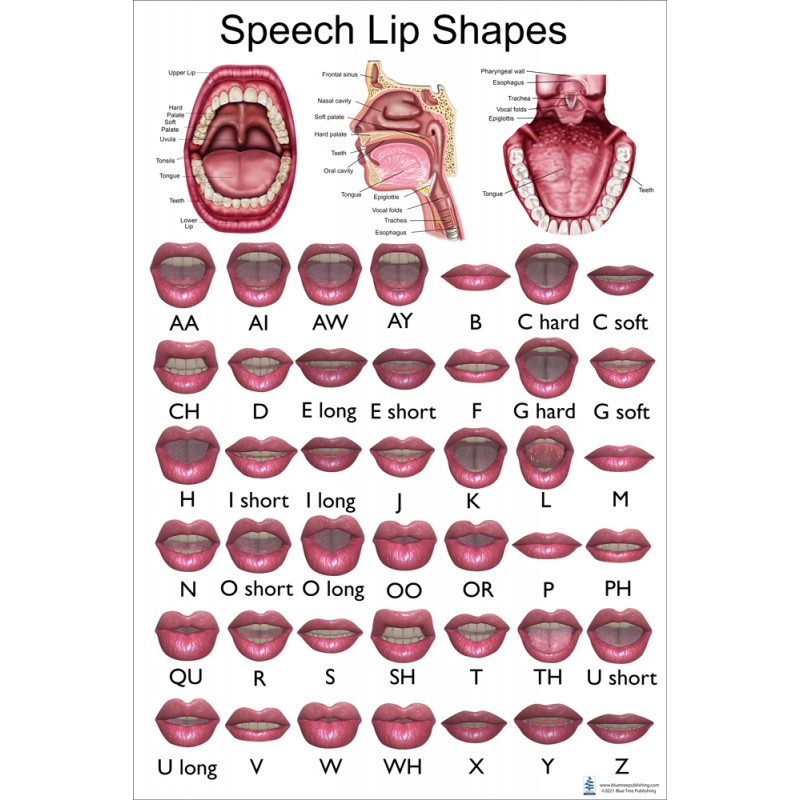 The Speech Lip Shapes Regular Poster