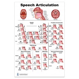 Speech Articulation Large Poster