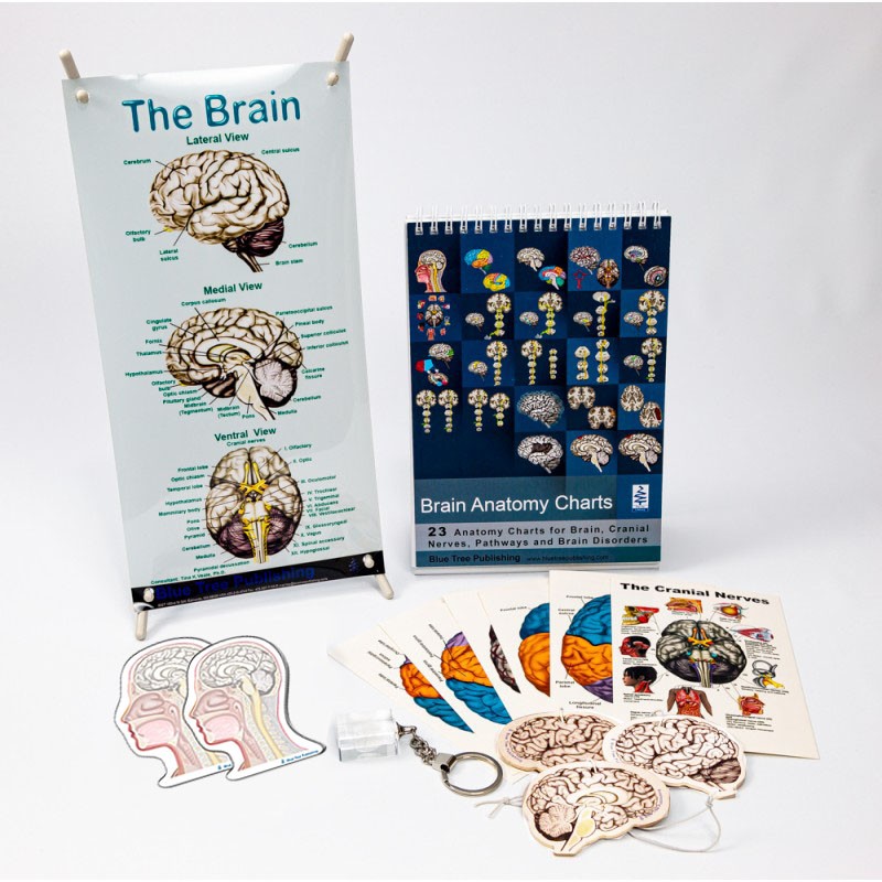 Brain Gift Box Set 03 contents