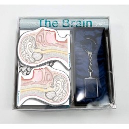 Brain Gift Box Set 01