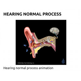 QR code  takes you to an animation on how your hearing works.