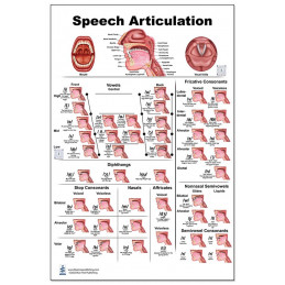 Speech Articulation Large Poster with QR codes