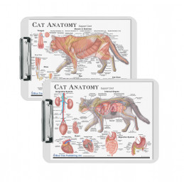 Cat Anatomy Clipboard set