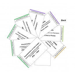 Phonological Patterns Pocket Charts back view