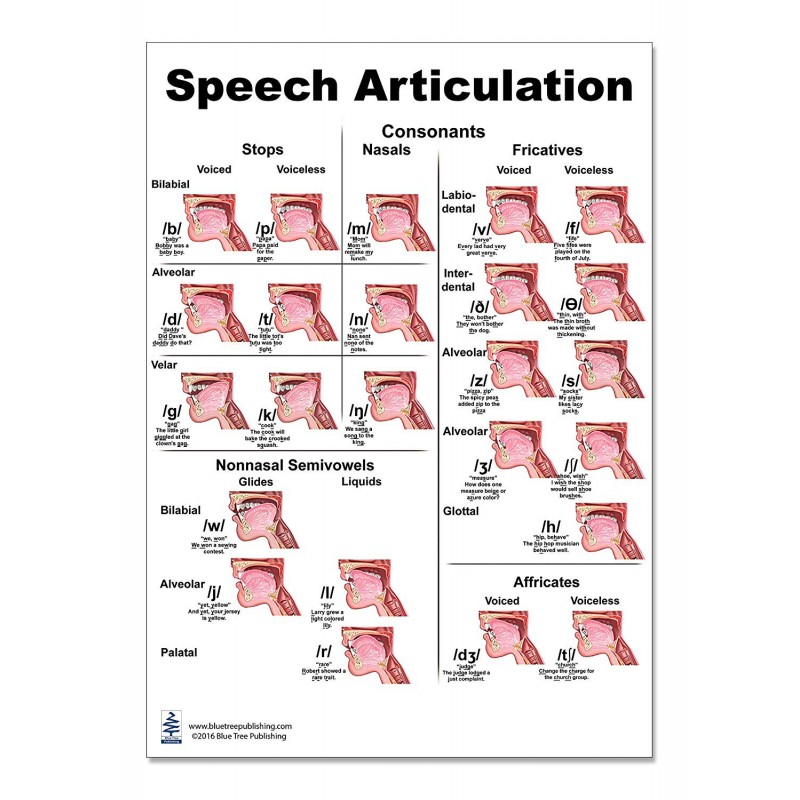 articulate meaning of speech