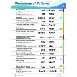 Speech Phonological Pattern Large Poster