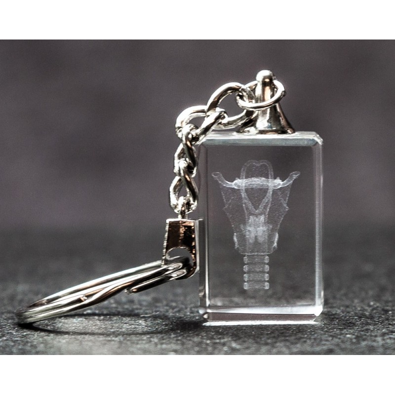 Larynx Crystal Key Chain front view