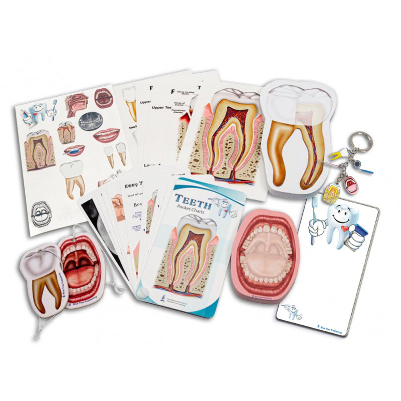 Dental Gift Set 14 pieces, great gift for anyone in the dental field