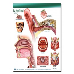 Ear Nose Throat Tablet 1 pack