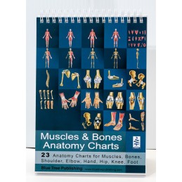 Muscles and Bones Anatomy Flip Chart cover view